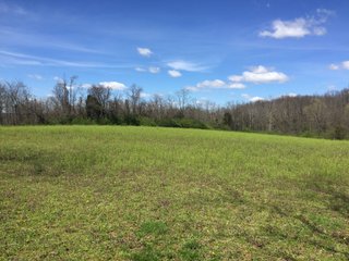 Property photo 27 - REAL ESTATE & LAND AUCTION - 105+/- ACRES IN 4 TRACTS IN BUTLER COUNTY, OHIO